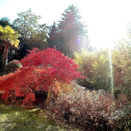 Appartamento Shabby Chic Bilocale Zero Smog