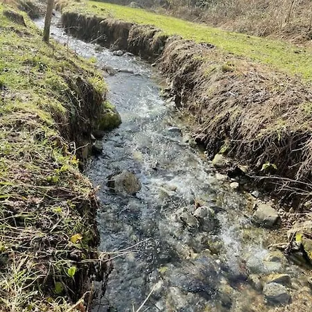 Shabby Chic Bilocale Zero Smog Appartamento Tavernerio